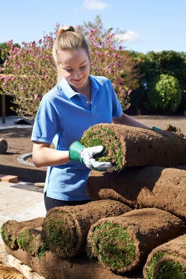 Landscaping and Horticultural Occupations